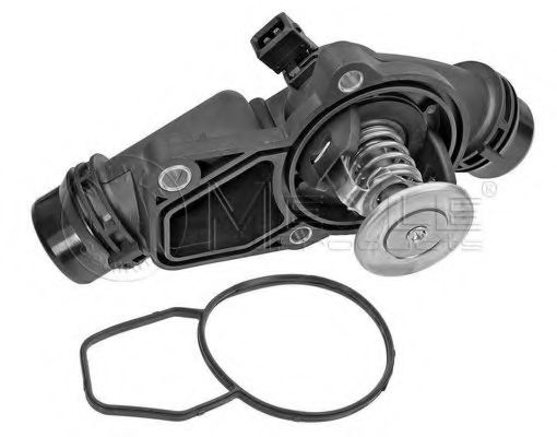 termostat,lichid racire