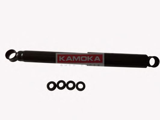 amortizor