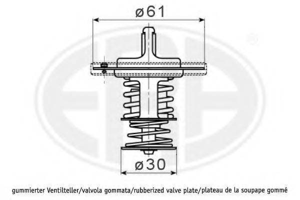 termostat,lichid racire