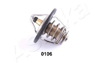 termostat,lichid racire