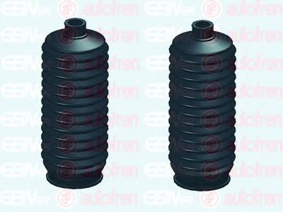 Ansamblu burduf, directie