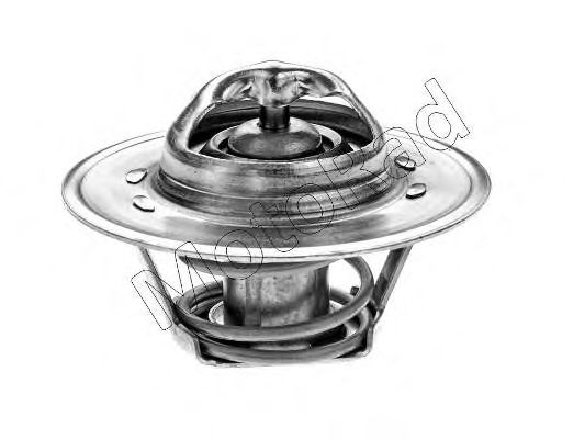 termostat,lichid racire