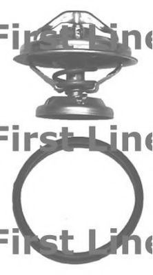 termostat,lichid racire