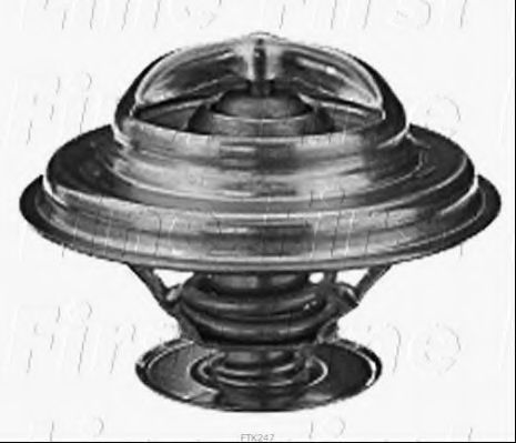 termostat,lichid racire