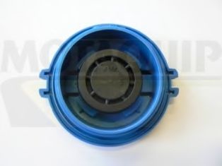 buson,vas expansiune