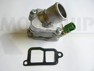 termostat,lichid racire