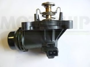 termostat,lichid racire