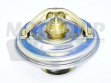 termostat,lichid racire