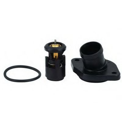 termostat,lichid racire