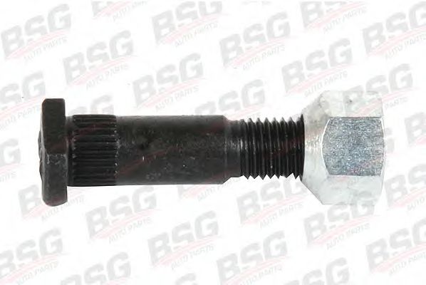 Bolt roata