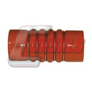 Furtun ear supraalimentare