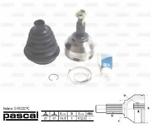 Set articulatie, planetara