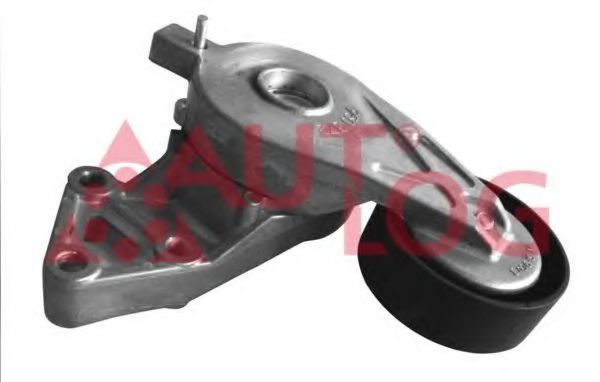 Intinzator curea, curea distributie