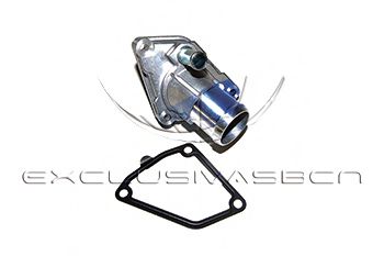 termostat,lichid racire