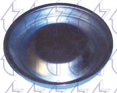 capac de protectie,butuc roata