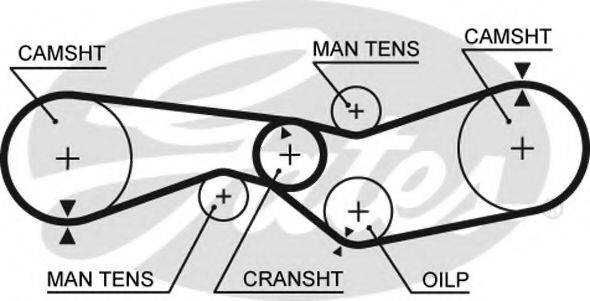Curea de distributie