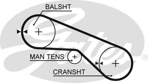 Curea de distributie