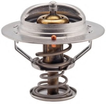 termostat,lichid racire
