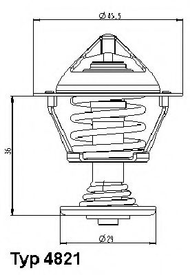 termostat,lichid racire